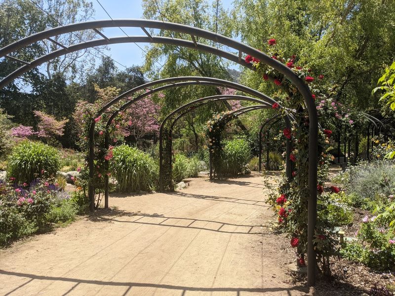 Descanso Gardens - La Cañada Flintridge
