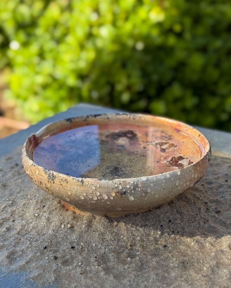 Terracotta Saucers Offer Safe Landing Spots