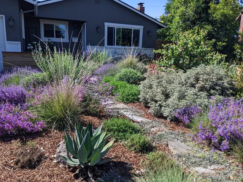 Year-Round Beauty and Structure