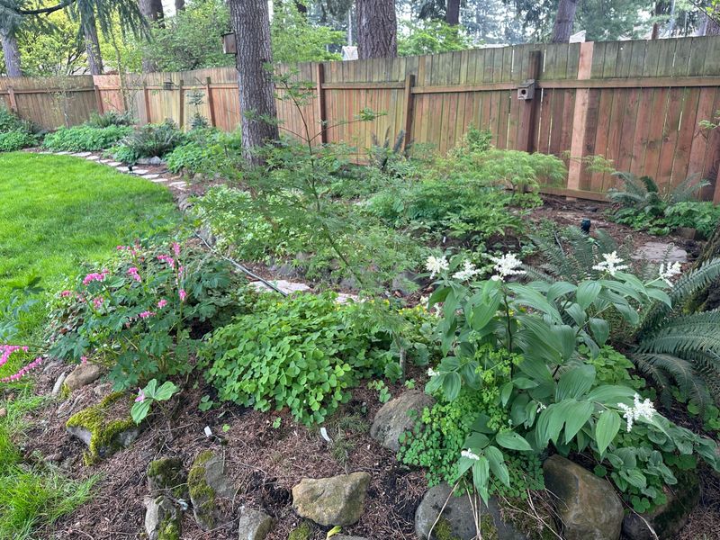 Improved Soil Health Naturally