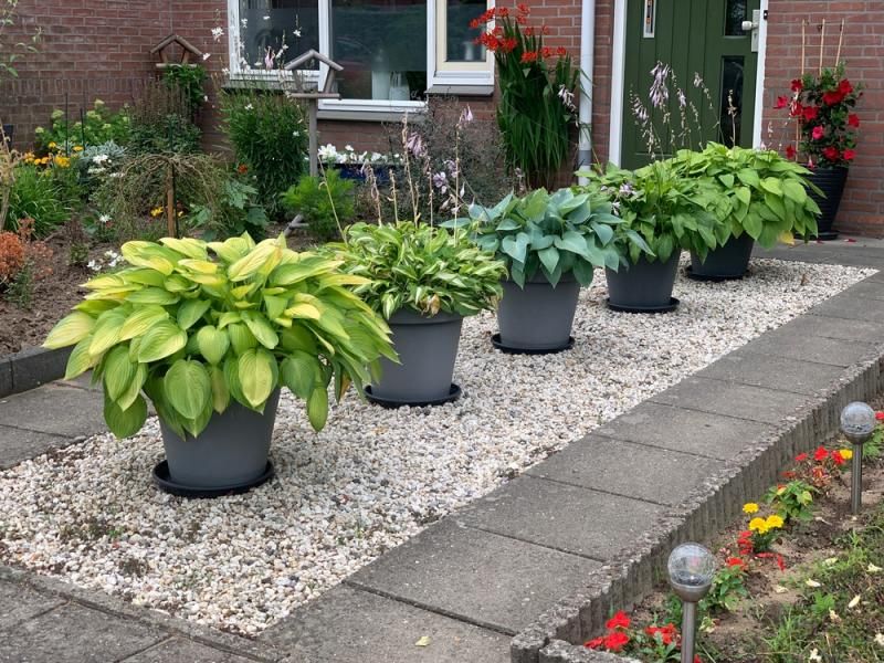 Bold Foliage Makes A Strong First Impression