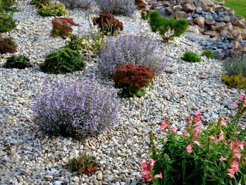 Combine Gravel With Groundcovers