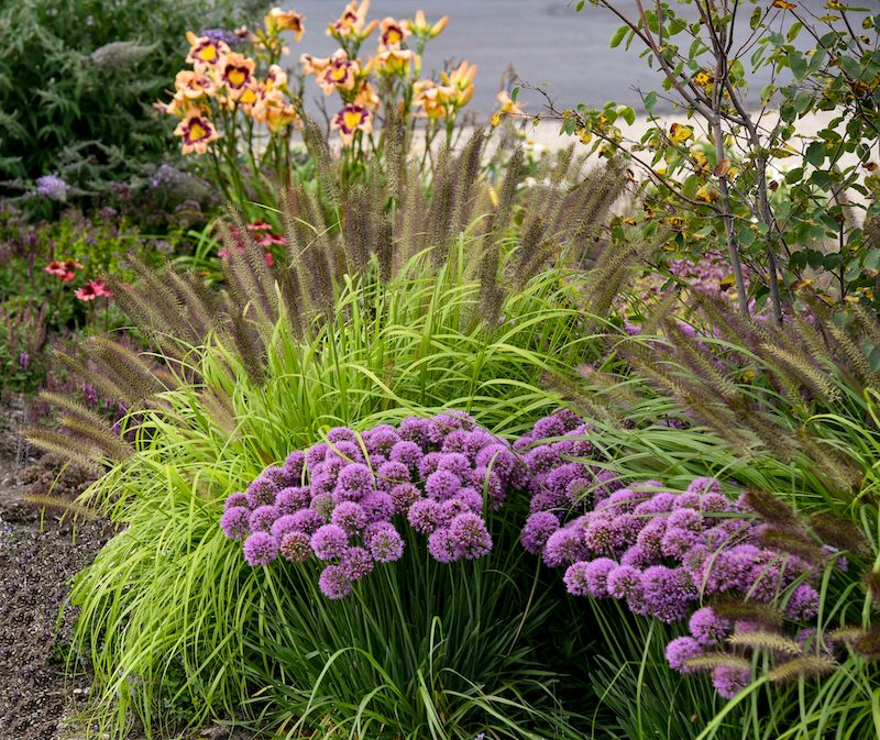 Layer Scent And Texture To Confuse Browsing