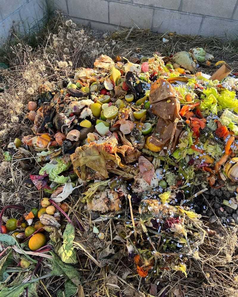 Creating A Simple Kitchen Scrap Compost Pile