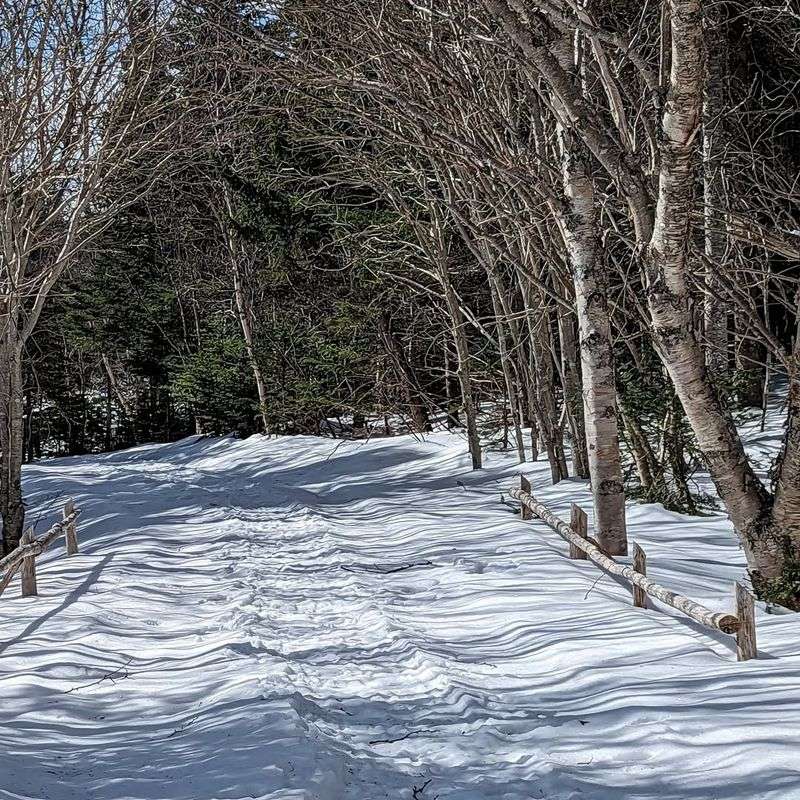 Local Ordinances Often Mirror State Rules