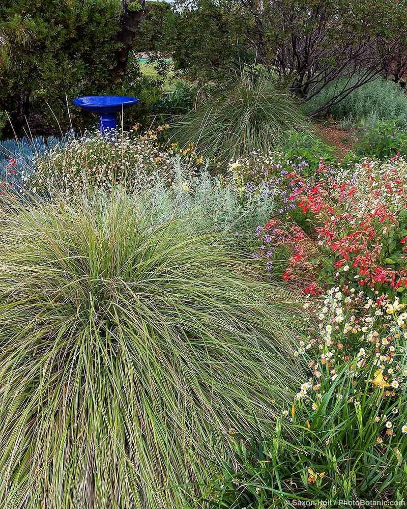 Built For Drought And Heat