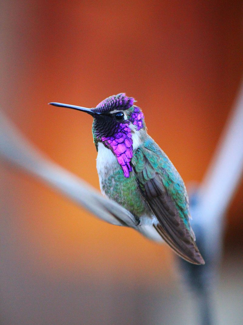 How Mild Winters Make Staying Possible