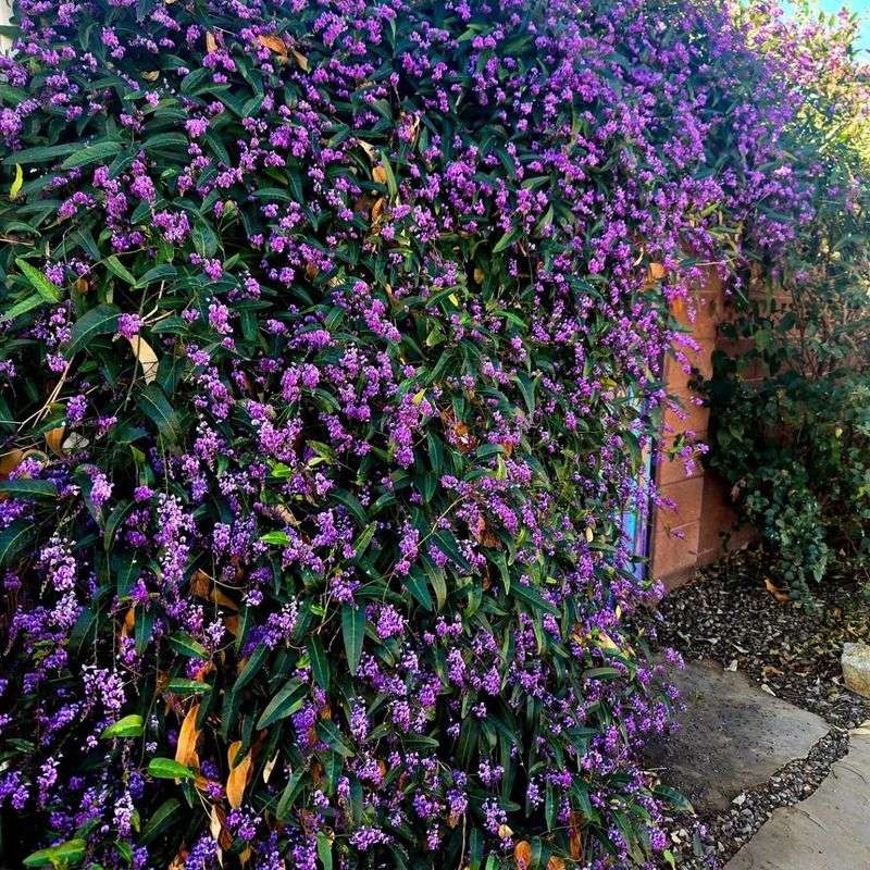 Why It Works So Well In Arizona's Low Desert Climate