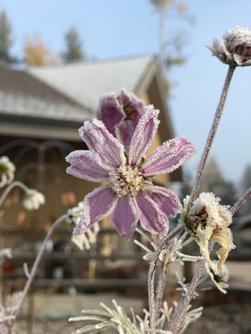 How Gardeners Watch The Weather