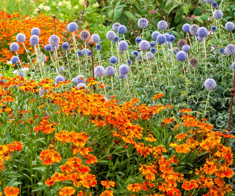 Pair Complementary Colors For Visual Harmony