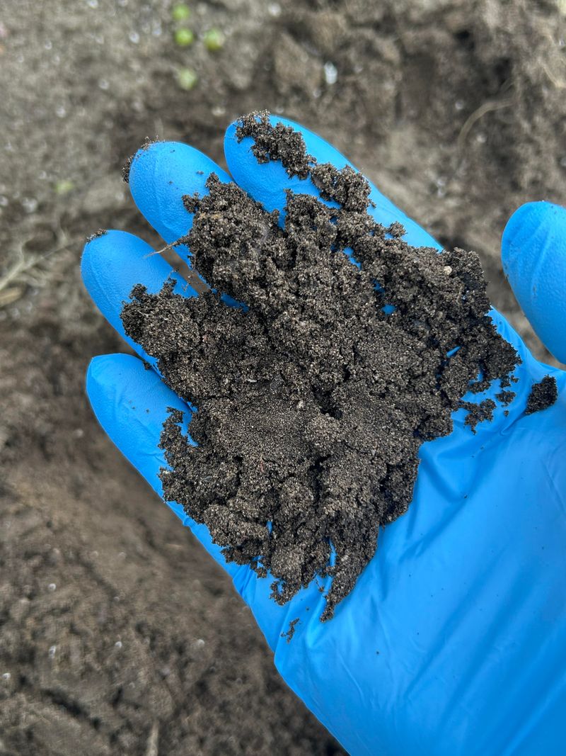 Let Soil Microbes Do The Work