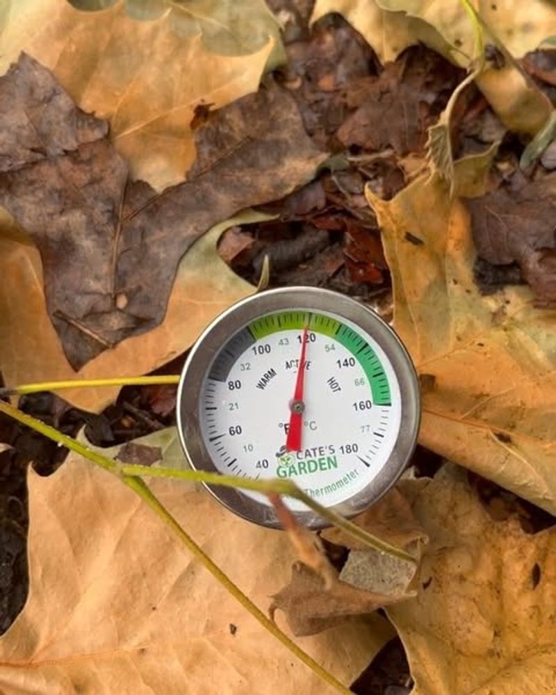 Test Temperatures Before Planting