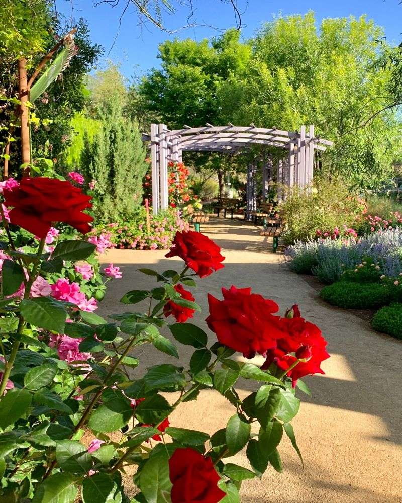 Make A Planting Or Replacement Plan