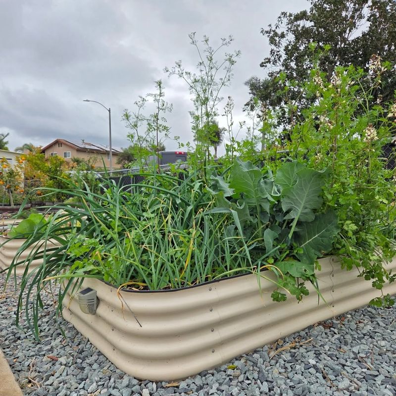 Plan Raised Beds For Faster Soil Warming