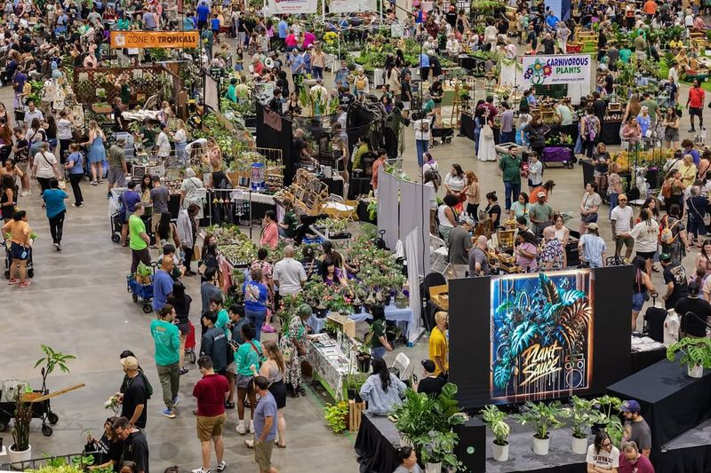  The Community Behind The Leaves