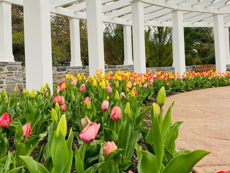 Hershey Gardens - Hershey