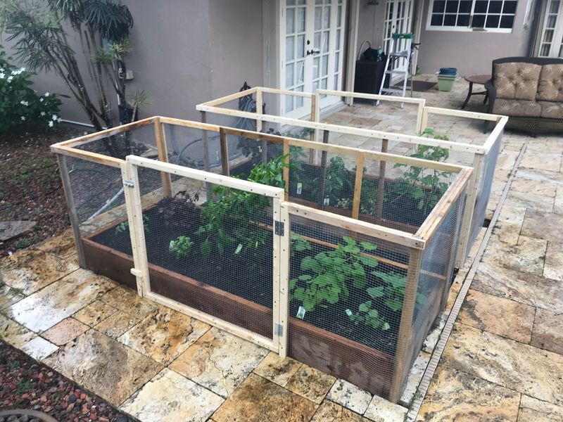 Smart Garden Design Avoids HOA Problems