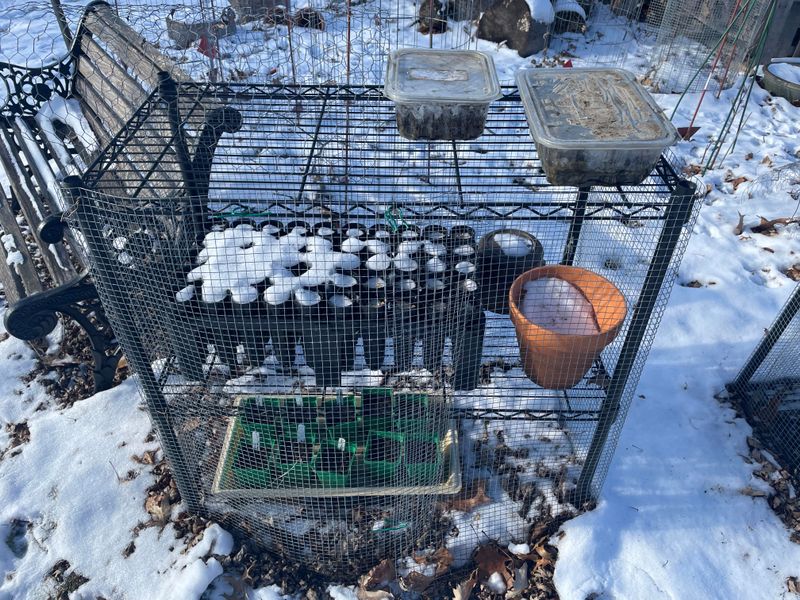 You Are Skipping Cold Stratification