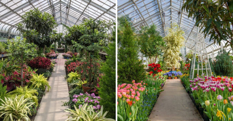 Most People Have Never Heard Of This Gorgeous Michigan Botanical Garden