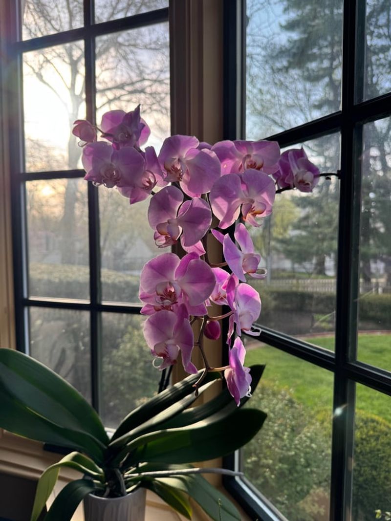 Adjust Care With The Seasons