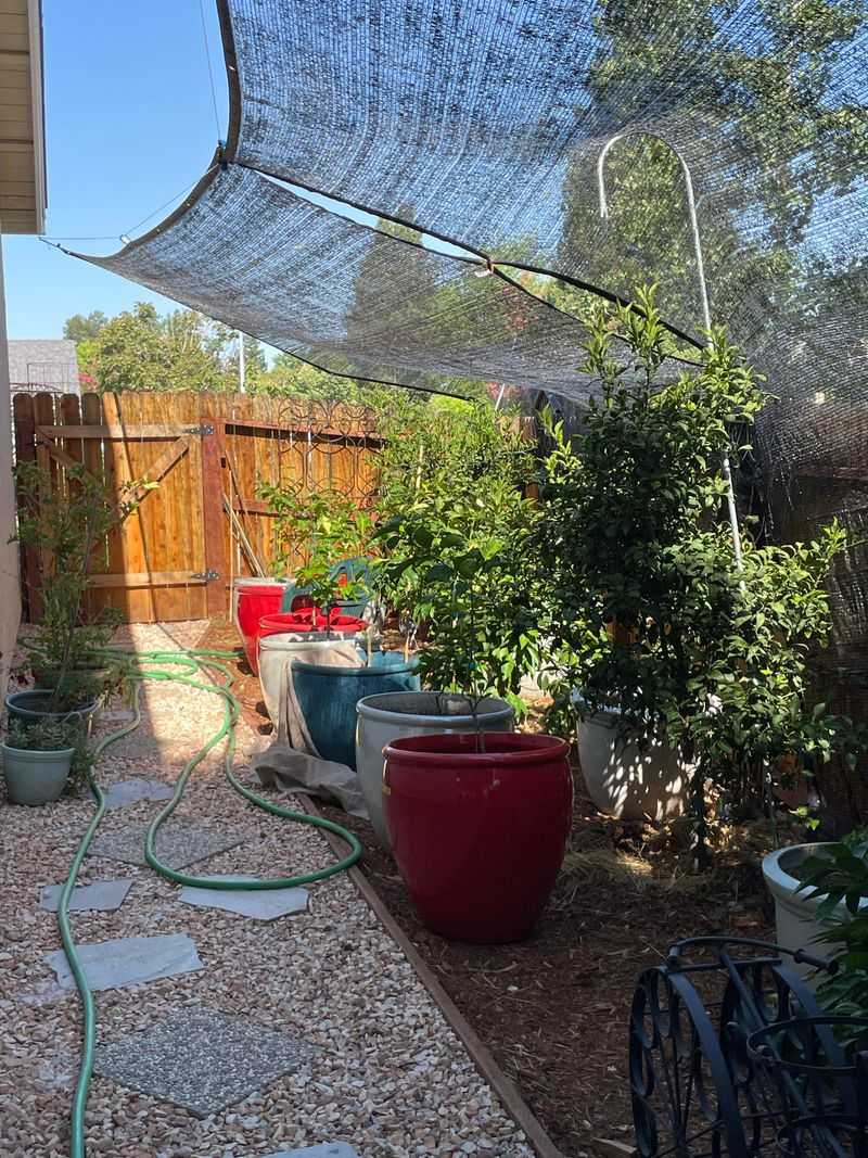Fence-Mounted Shade Creates Afternoon Protection Fast