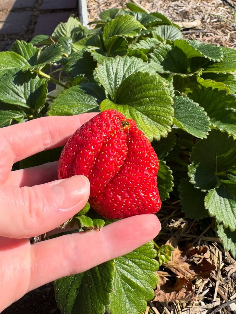 Remove Early Runners