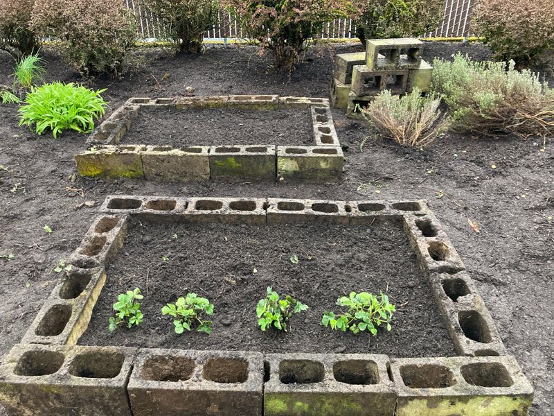 Healthy Soil Makes Gardening Easier