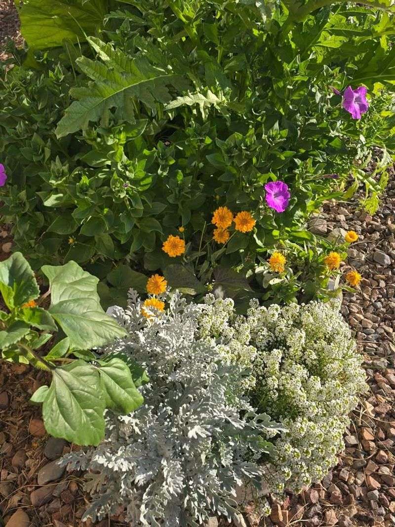 Keep An Eye On Pests During Warm Winter Days