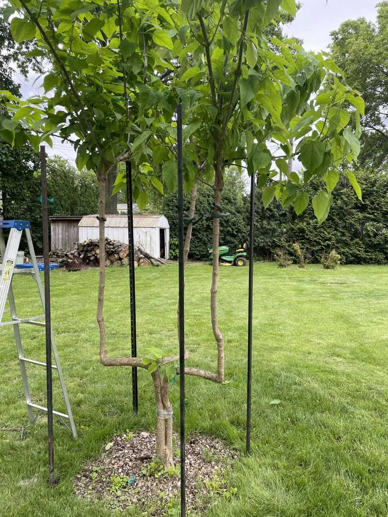 Stake Only When Needed