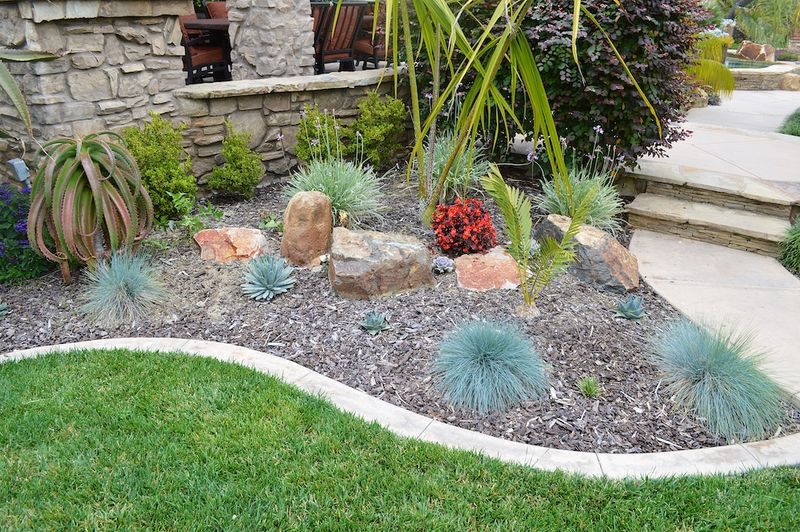 Gravel + Groundcover Hybrid