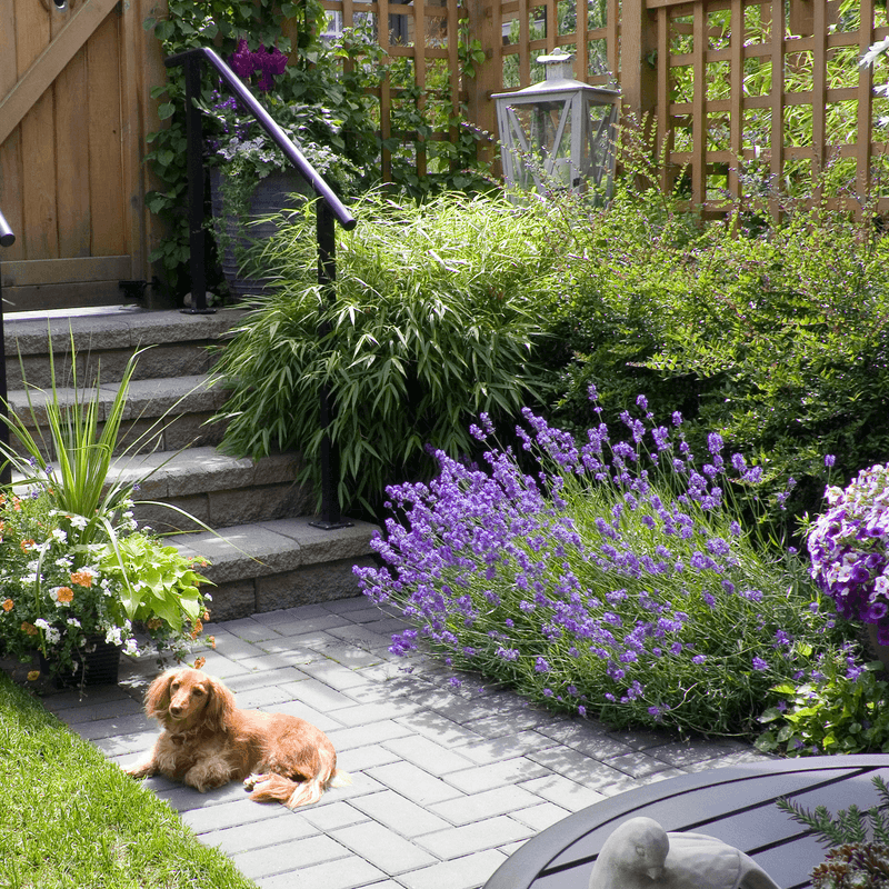 Adds Year Round Charm To Your Entry