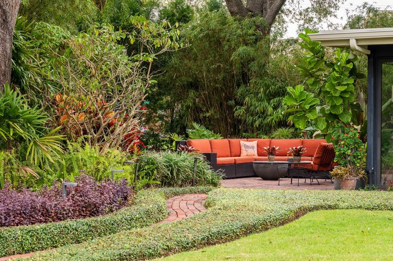 Different Plants Need Different Water