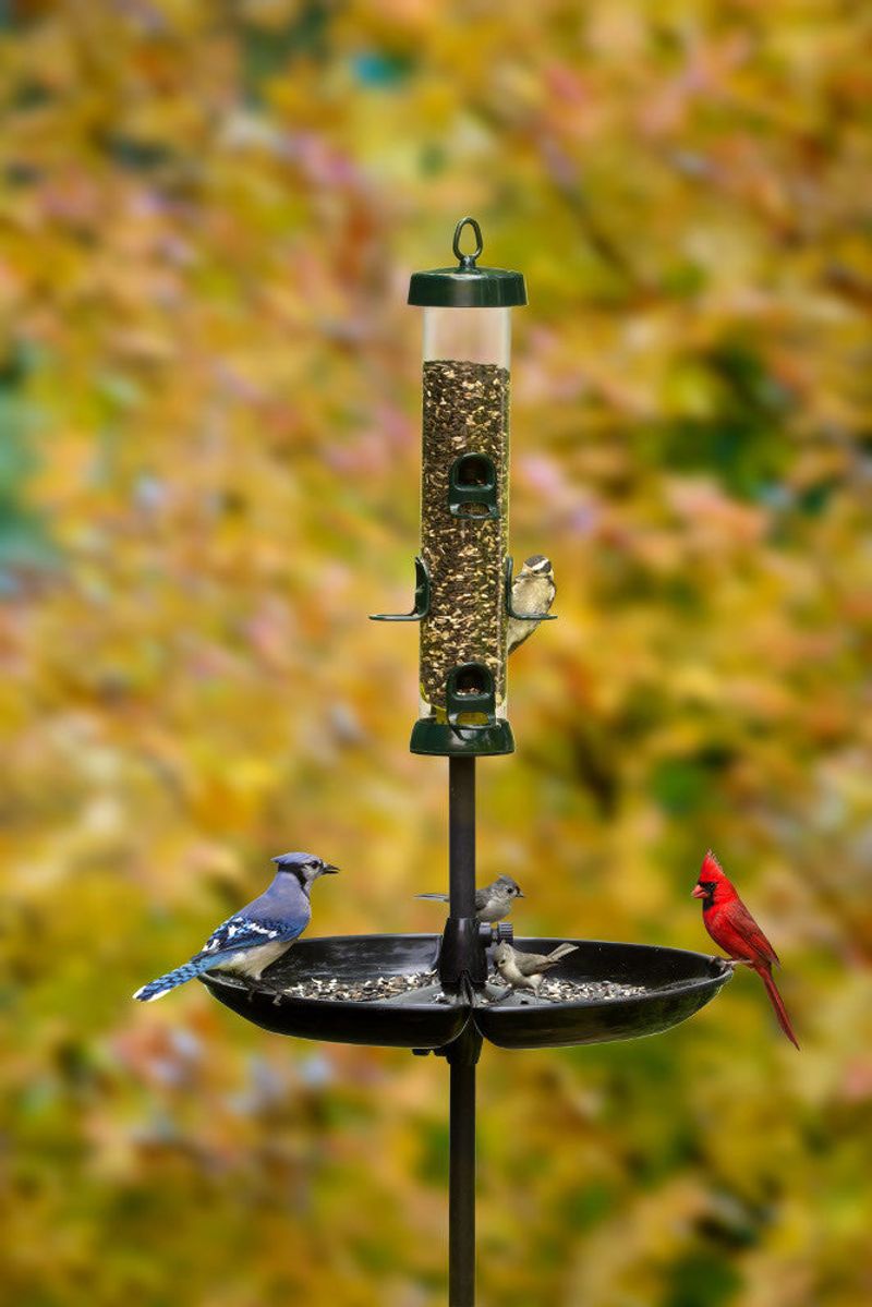 Simple Changes Can Stop The Problem Fast