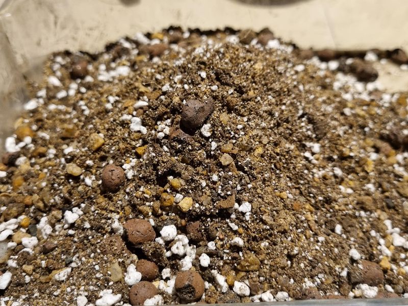 Soil Drains Well Without Staying Wet