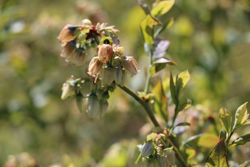 Combined Warning Signs Appear Together