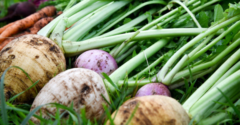 North Carolina’s Best Cool-Season Crops To Start Planting In March