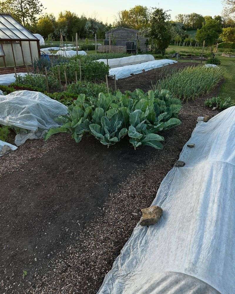 Areas Near Open Fields Cool Faster