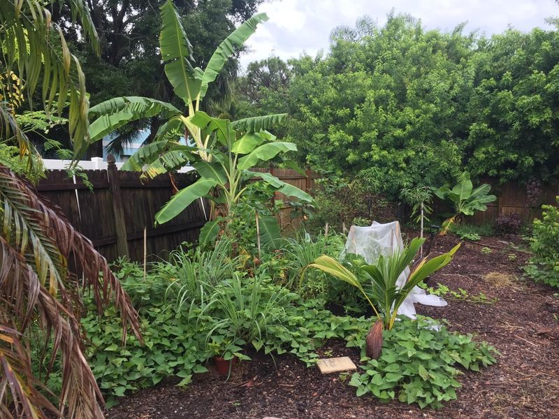 South Florida Faces A Different Kind Of Stress