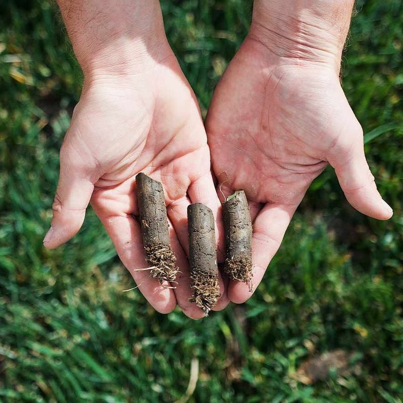 Soil Compaction Shows Up After Heavy Winter Moisture