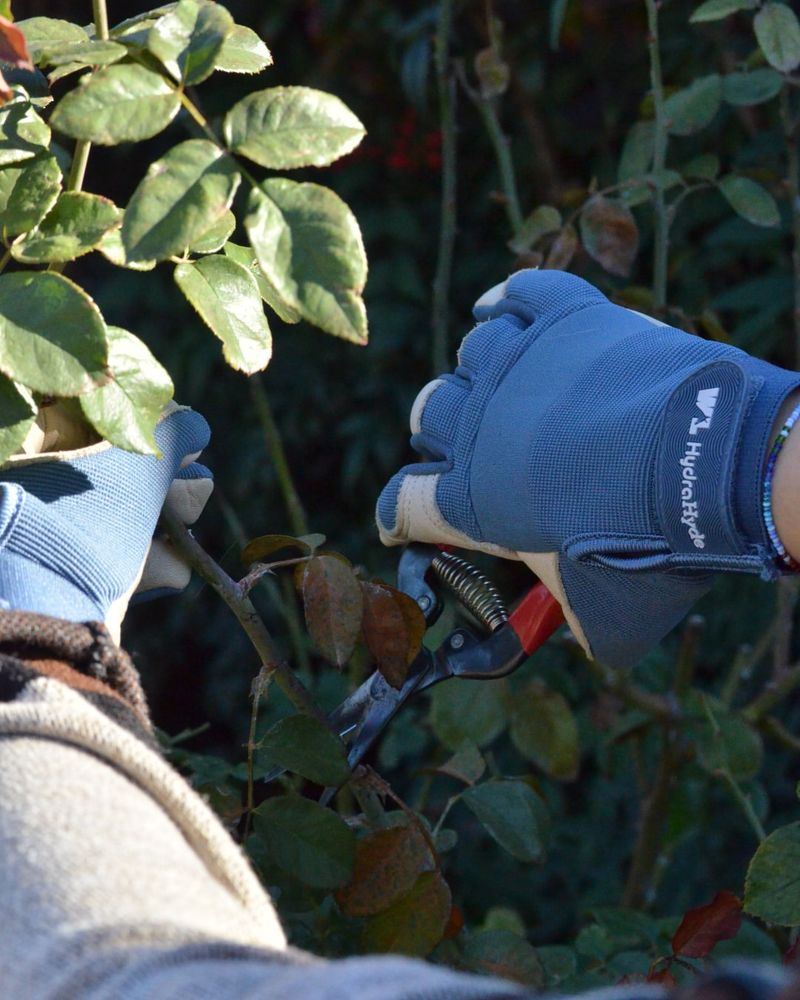Delay Pruning Until Frost Risk Passes