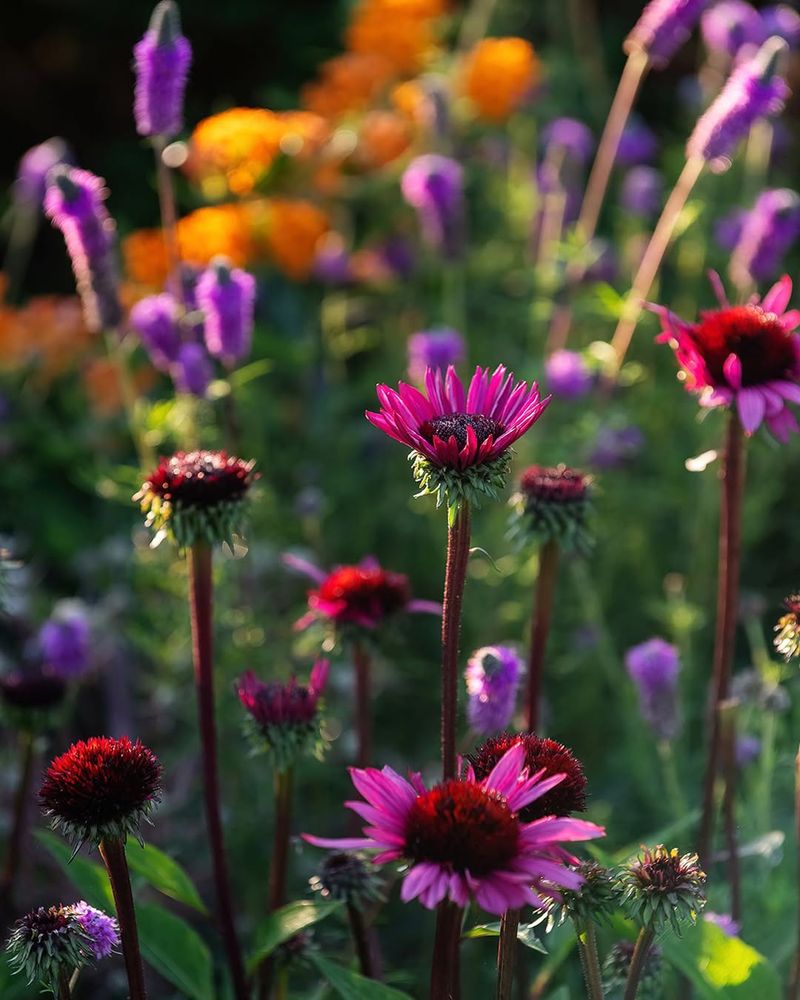 A Growing Community Supported Garden Project