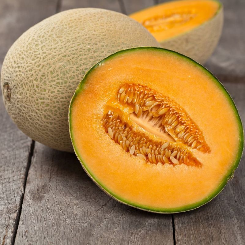 Cantaloupe