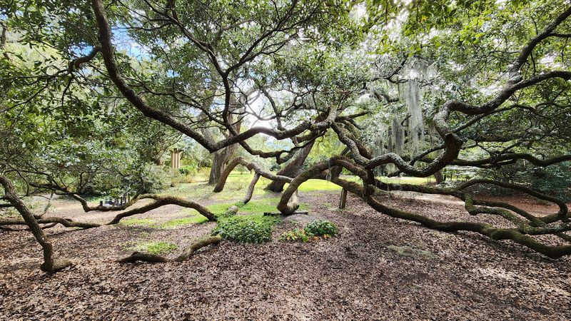 A Peaceful Natural Escape Near Wilmington