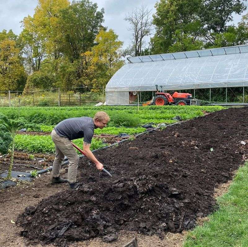Feed The Soil With Rich Organic Matter