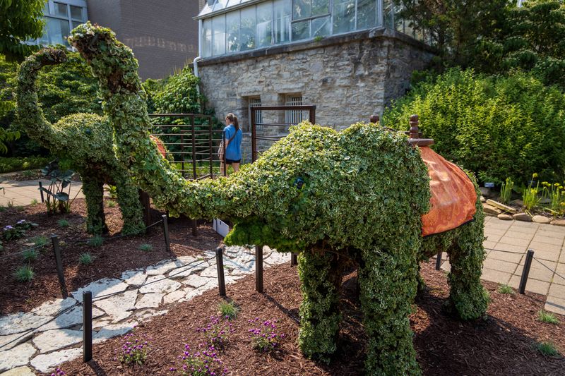 Children's Garden: Planting Seeds Of Wonder