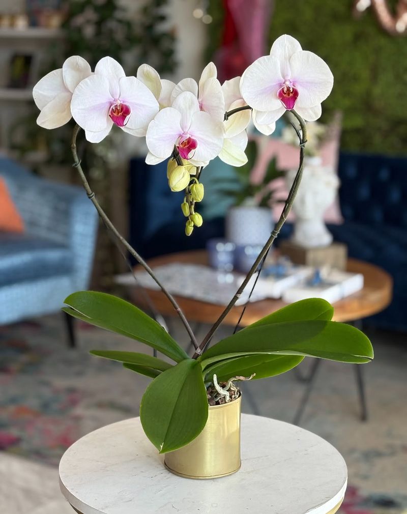 Long-Lasting Blooms That Keep Romance Alive