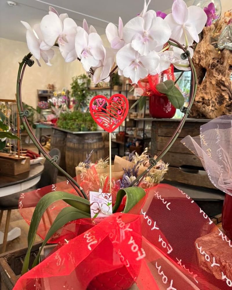 Orchids Take Over Valentine's Day In Ohio