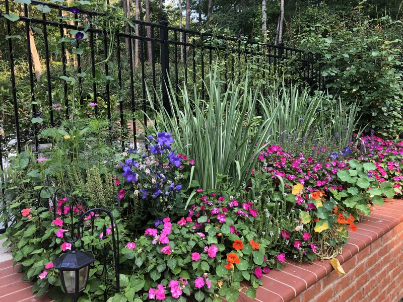 Turn Your Vision Board Into An Action Plan