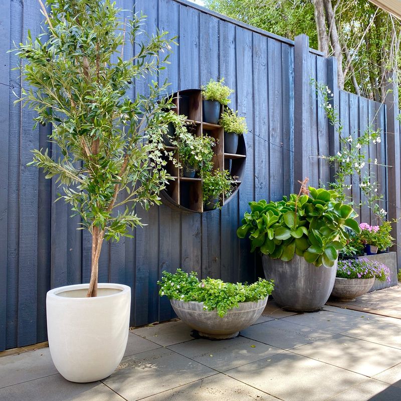 Faux Olive Trees That Stay Green In Full Sun