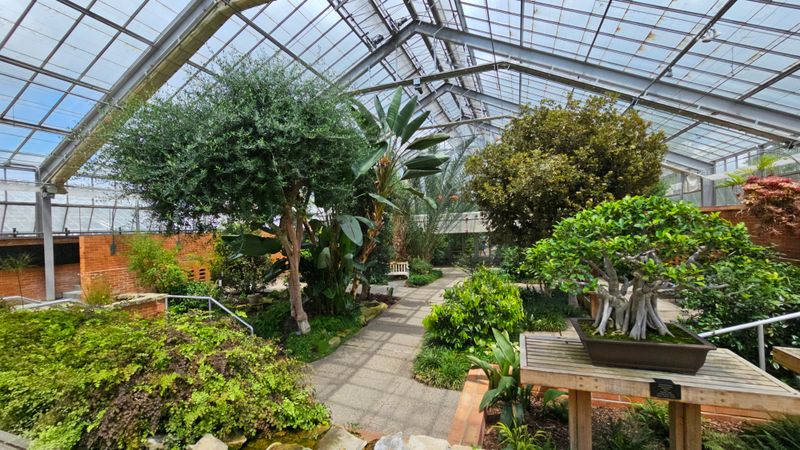 Includes A Year-Round Conservatory